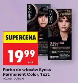 Biedronka Farba do włosów Syoss Permanent Color oferta
