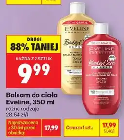 Biedronka Balsam do ciała Eveline oferta