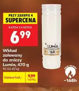 Biedronka Wkład zalewany do zniczy Lumia oferta