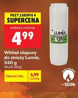 Biedronka Wkład olejowy do zniczy Lumia oferta