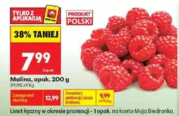 Biedronka Malina oferta