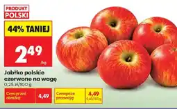Biedronka Jabłko polskie czerwone oferta