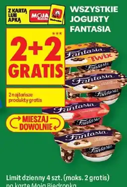 Biedronka Jogurty Fantasia oferta