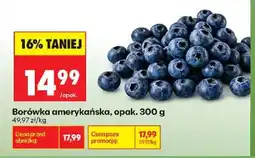 Biedronka Borówka amerykańska oferta