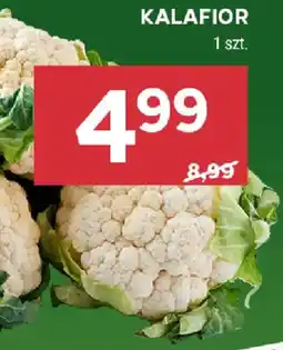 Stokrotka Kalafior oferta