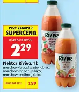 Biedronka Nektar Riviva oferta