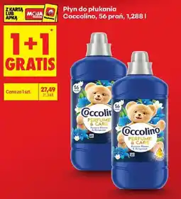 Biedronka Płyn do płukania Coccolino oferta