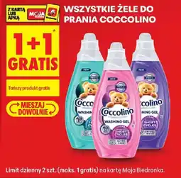 Biedronka Żele do prania Coccolino oferta