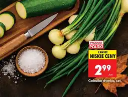 Biedronka Cebulka dymka oferta