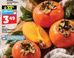 Topaz Express Kaki oferta