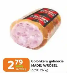 Gama Golonka w galarecie MADEJ WRÓBEL oferta