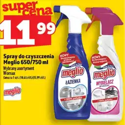 Topaz Express Spray do czyszczenia Meglio oferta
