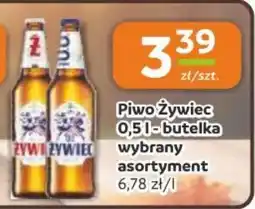 Gama Piwo Żywiec oferta