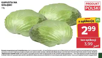 Stokrotka Kapusta na Gołąbki oferta