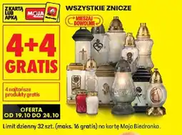 Biedronka Wszystkie znicze oferta