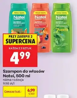 Biedronka Szampon do włosów Natei oferta