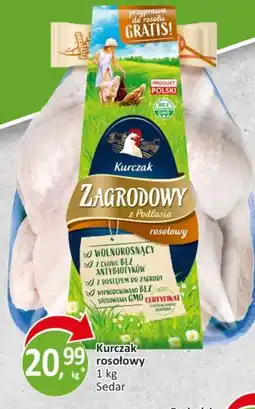 Passa Kurczak rosółowy oferta