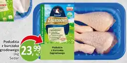 Passa Podudzia z Kurczaka Zagrodowego oferta