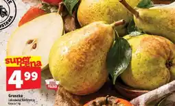 Topaz Gruszka Lukasówka/ Konferencja oferta