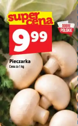 Topaz Express Pieczarka oferta