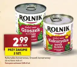 Avita Kukurydza konserwowa, Groszek konserwowy oferta