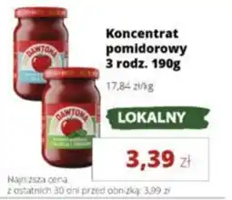Torimpex Konzentrat pomidorowy 3 rodz. Dawtona oferta