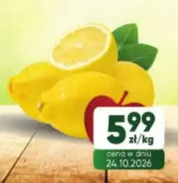 Avita Cytryna oferta
