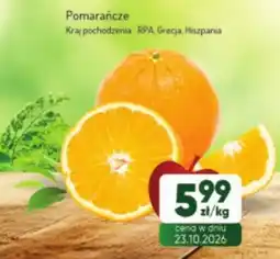 Avita Pomarańcze oferta