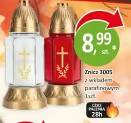 Passa Znicz 3005 oferta