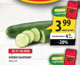 Arhelan Ogórek Sałatkowy oferta