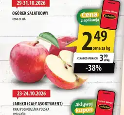 Arhelan Ogórek Sałatkowy oferta