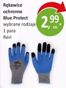 Passa Rękawice ochronne Blue Protect oferta