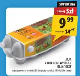 Arhelan Jaja z wolnego wybiegu oferta
