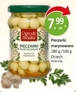Passa Ogrody Smaku Pieczarki marynowane oferta
