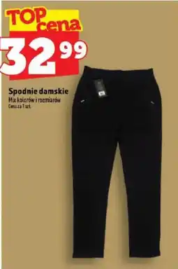 Topaz Spodnie damskie oferta