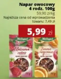 Torimpex Napar owocowy 4 rodz. Herbapol oferta
