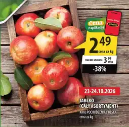Arhelan JABŁKO (CAŁY ASORTYMENT) oferta