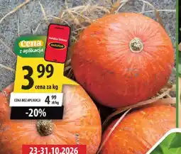 Arhelan Dynia oferta