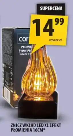 Arhelan Znicz wkład LED XL efekt płomienia 16cm* oferta