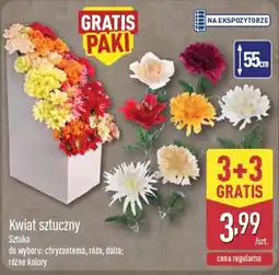ALDI Kwiat sztuczny oferta