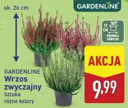 ALDI GARDENLINE Wrzos zwyczajny oferta
