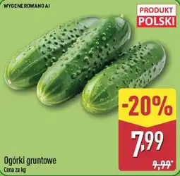 ALDI Ogórki gruntowe oferta