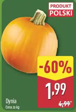 ALDI Dynia oferta