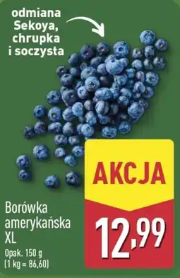 ALDI Borówka amerykańska XL oferta
