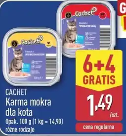 ALDI Cachet Karma mokra dla kota oferta