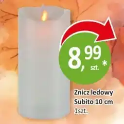 Passa Znicz ledowy Subito oferta
