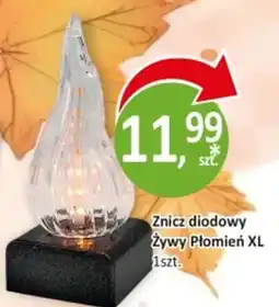 Passa Znicz diodowy Żywy Płomień XL oferta