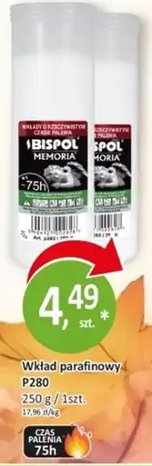 Passa Wkład parafinowy B oferta