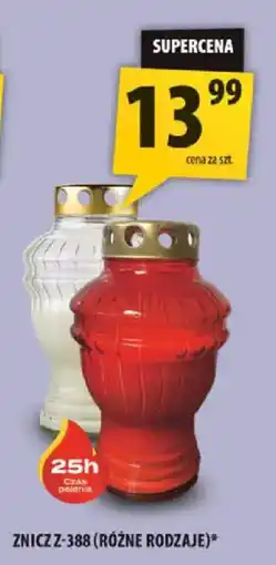 Arhelan Znicz Z-388 oferta