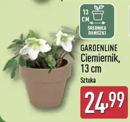 ALDI GARDENLINE Ciemnierek oferta